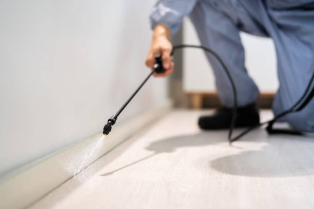 Licensed Rodent Control service in Stanton, CA - Nex Pest Control