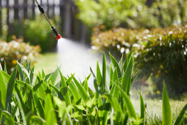 24/7 Emergency Rodent Control experts in Stanton, CA