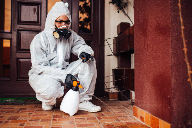 Reliable Rodent Control contractor in Stanton, CA by Nex Pest Control