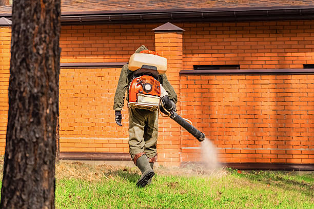 Top rated local Rodent Control specialists in Stanton, CA